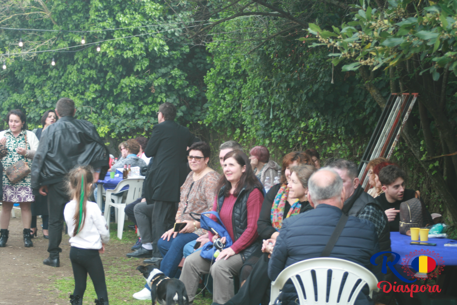 Evenimentul „Diaspora in sarbatoare!”,a fost un real succes.
