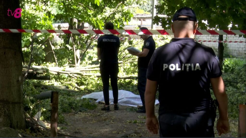 Copila ucisă de un copac în Capitală ieșise la plimbare cu o prietenă