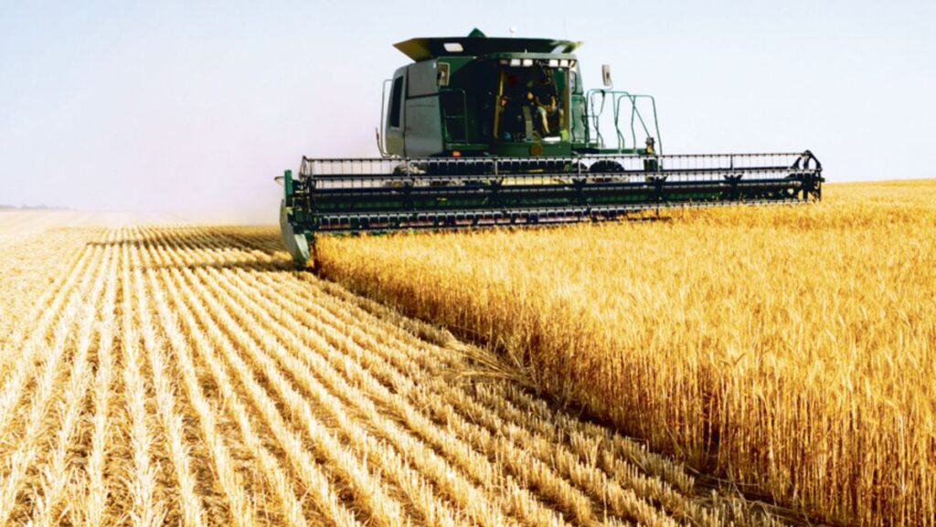 Producția globală agricolă din R. Moldova s-a micșorat cu 6,8% în primele nouă luni ale acestui an